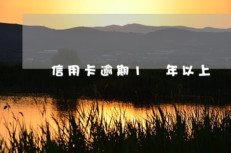 信用卡逾期1 年以上